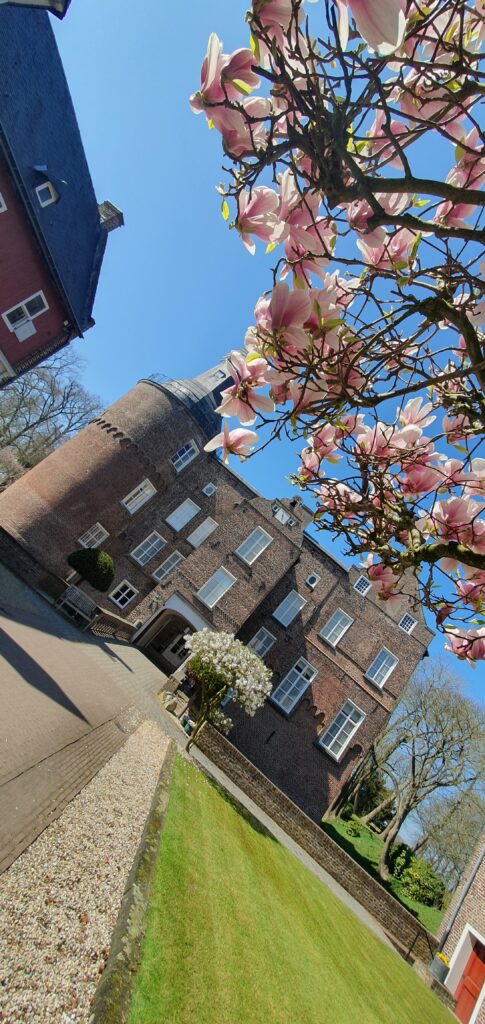 Spontaan Genieten