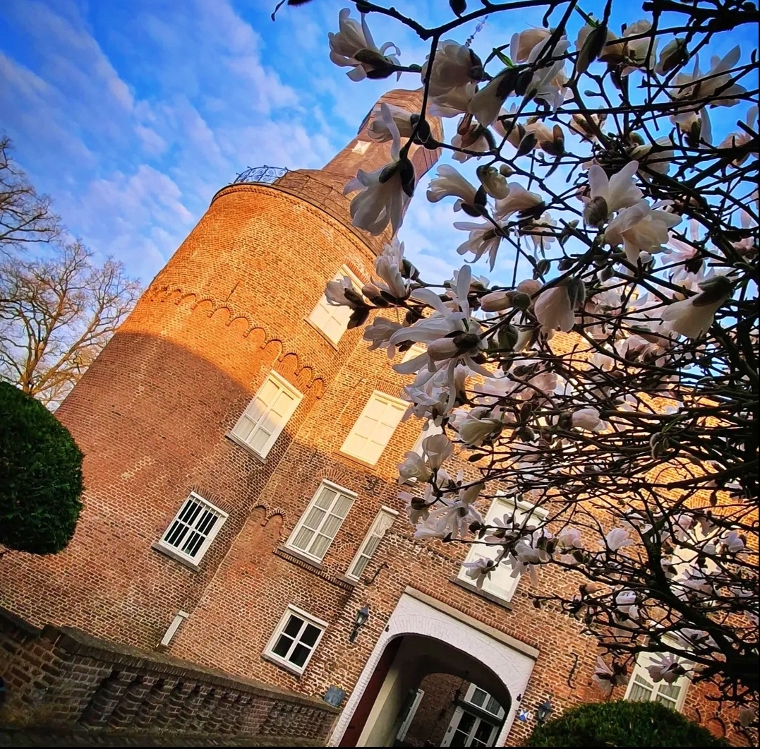 Spontaneous enjoyment